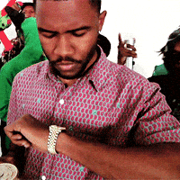 Frank Ocean's Fat Babi Plushi