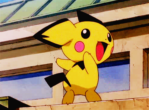 Fat Pikachu Mirror